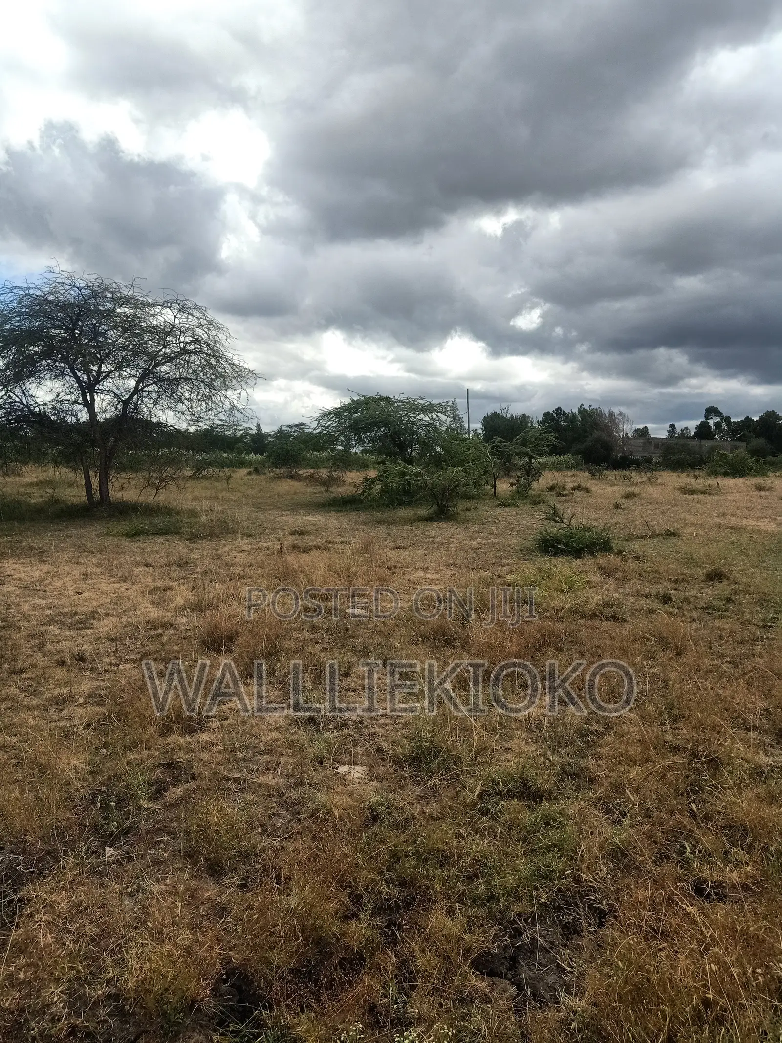 2 Plots of 50 X 100 for Sale