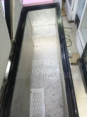 Long Deep Freezer Commercial
