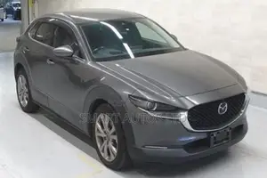 Mazda CX-30 2020 Gray