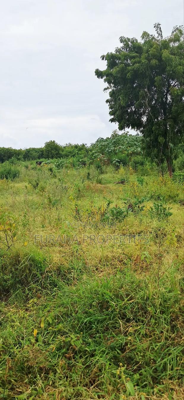 For Sale 4 Acre Prime Land Vipingo