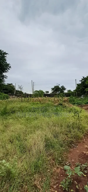 For Sale 4 Acre Prime Land Vipingo