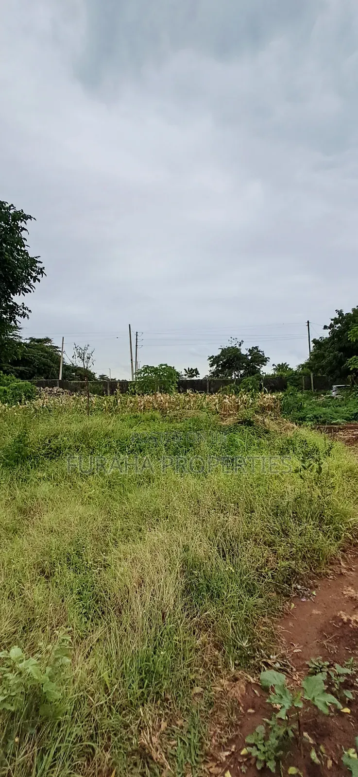 For Sale 4 Acre Prime Land Vipingo