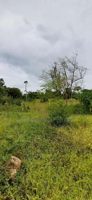 For Sale 4 Acre Prime Land Vipingo
