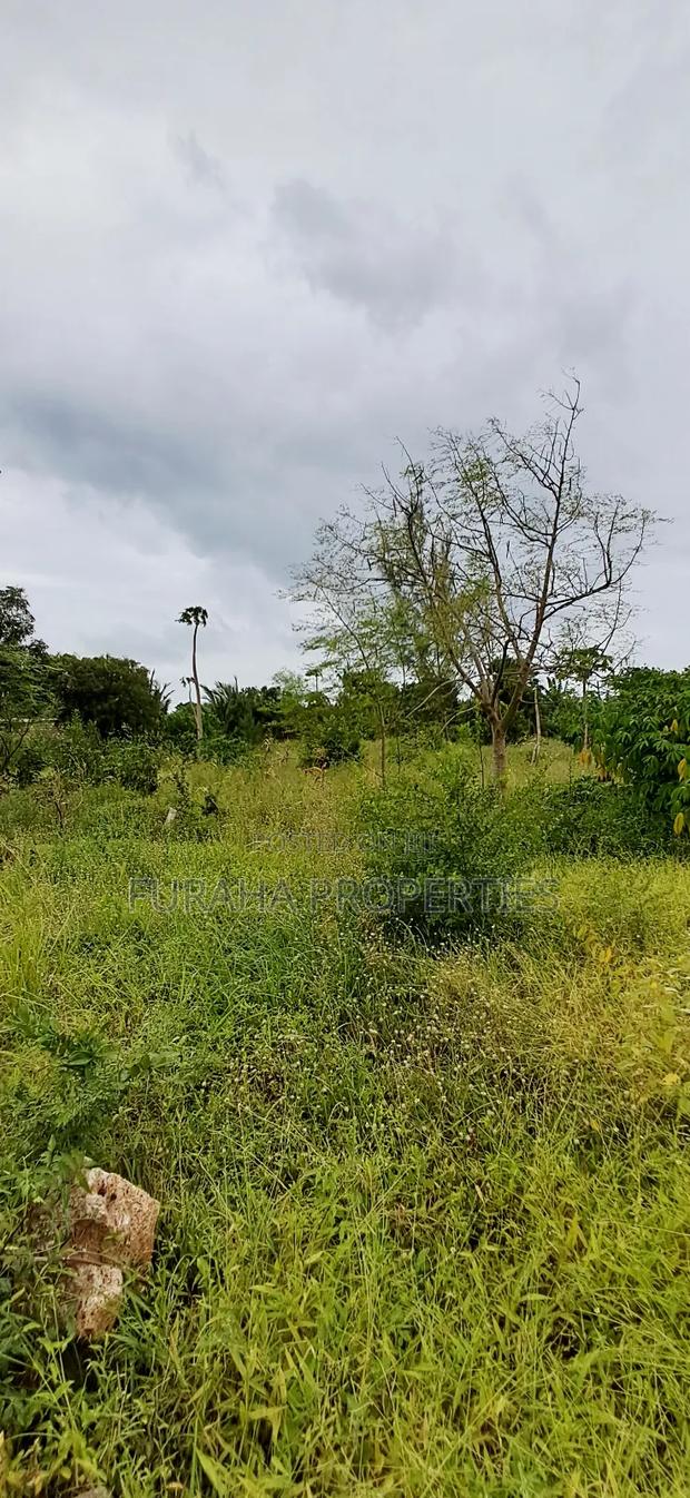 For Sale 4 Acre Prime Land Vipingo - thumbnail 4