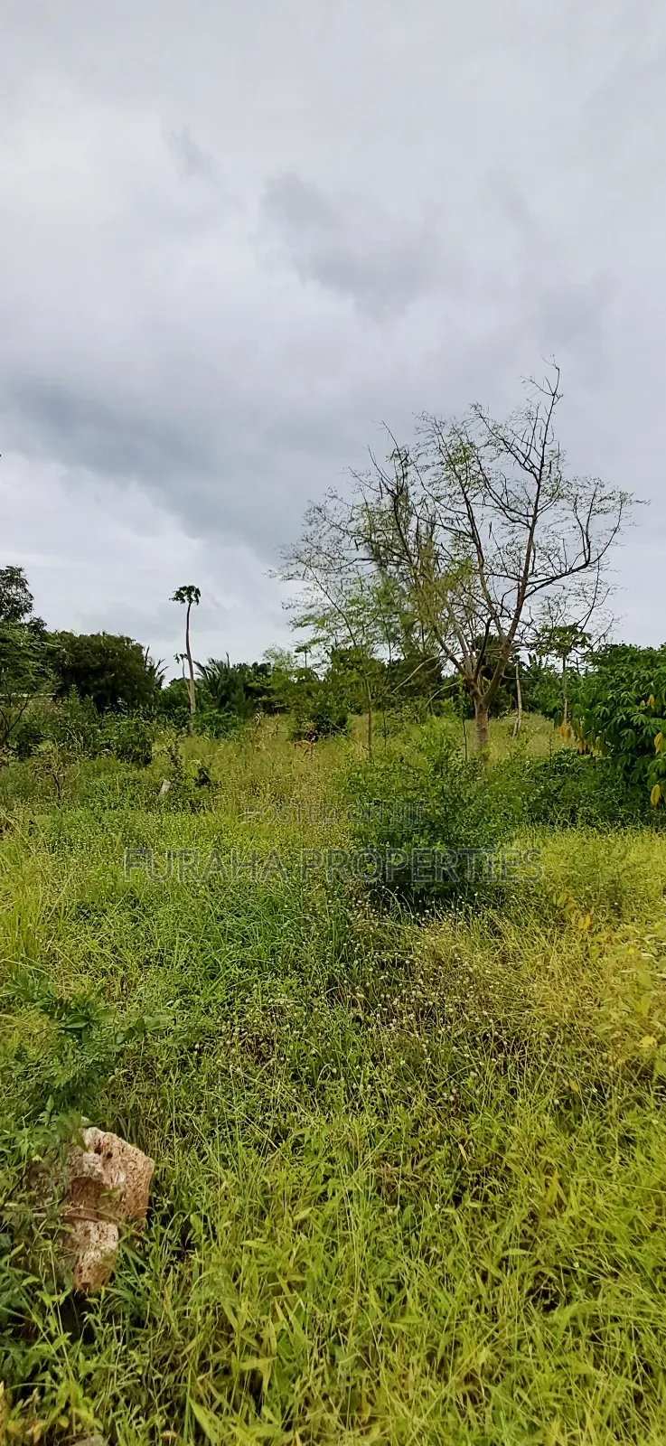 For Sale 4 Acre Prime Land Vipingo