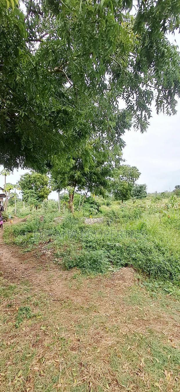 For Sale 4 Acre Prime Land Vipingo - thumbnail 5