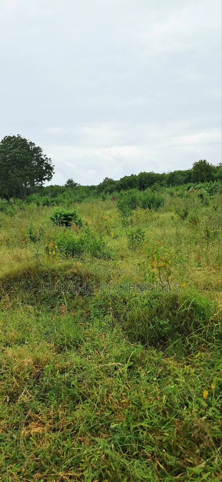 For Sale 4 Acre Prime Land Vipingo