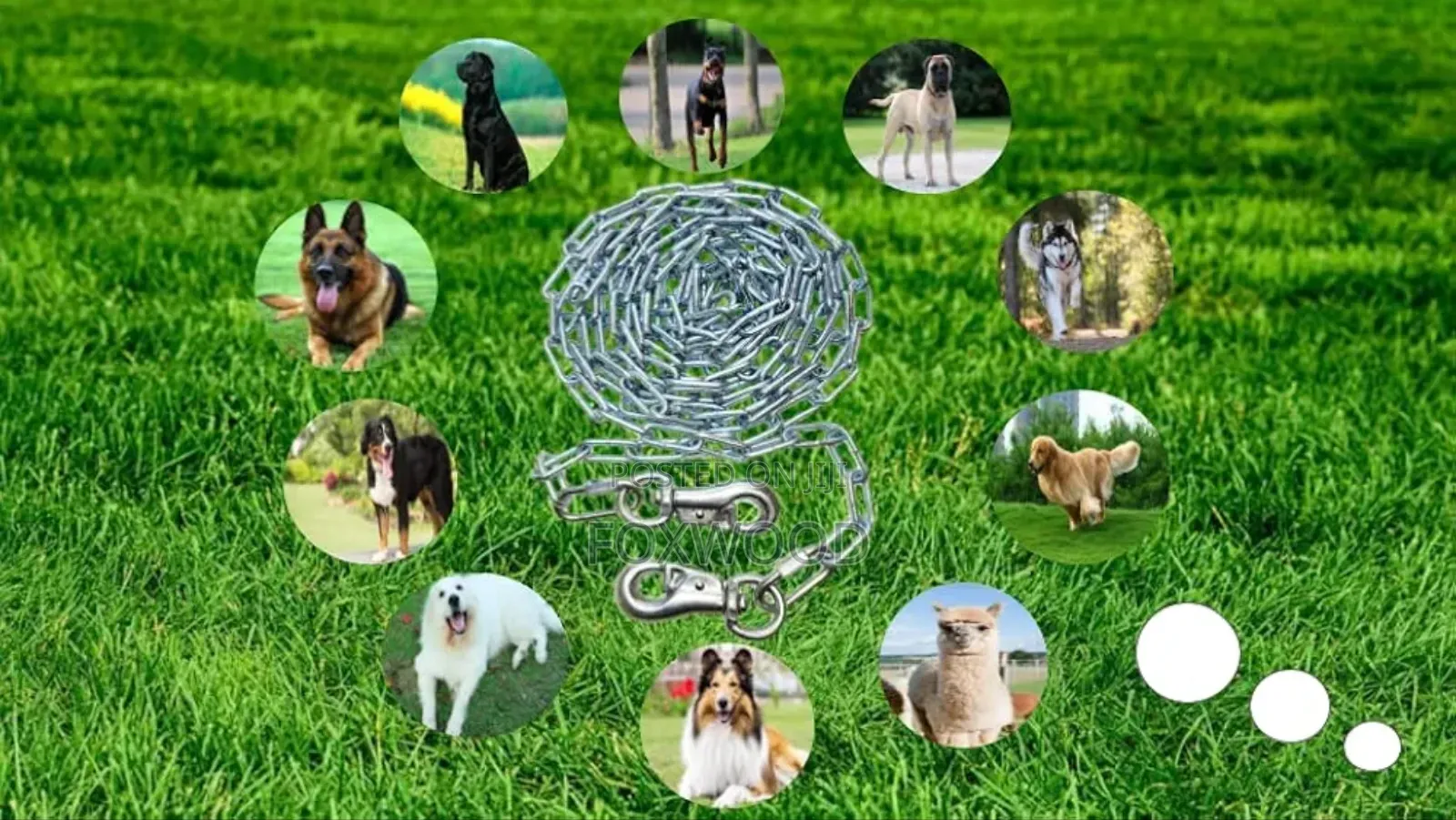 Metal Dog Leash Heavy Duty