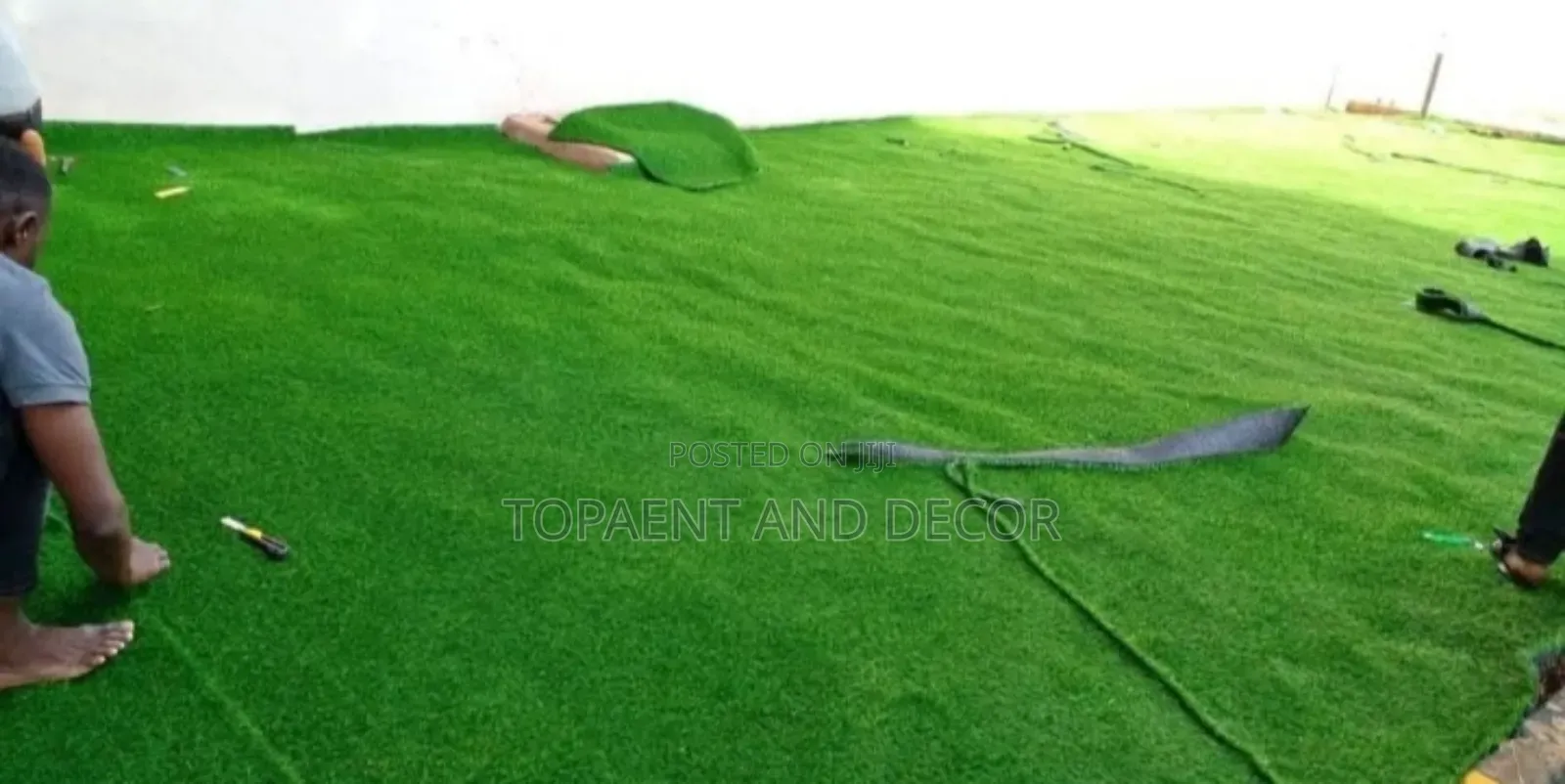 Law Maintenance Turf Grass Carpet and Always Green