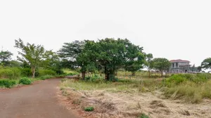 1/4 and 1/2 Acre Plots Thikagreensgolfestate