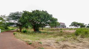 1/4 and 1/2 Acre Plots Thikagreensgolfestate