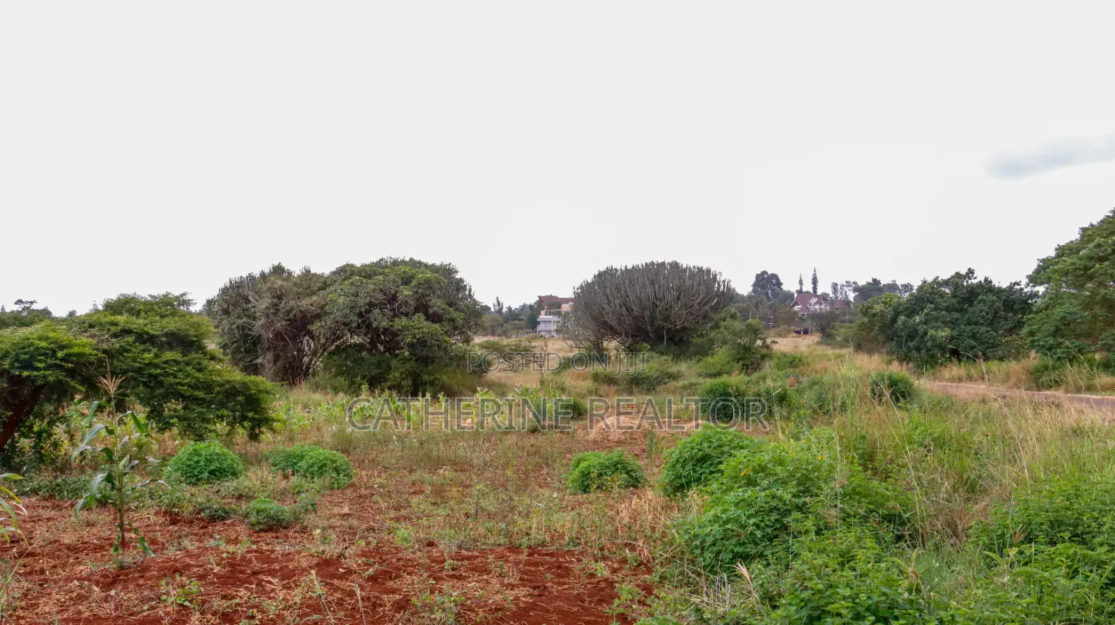 1/4 and 1/2 Acre Plots Thikagreensgolfestate