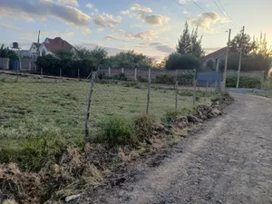 Very Distressed Sale! 50 by 100 Plot in Kibiko, Ngong Gated Comnty