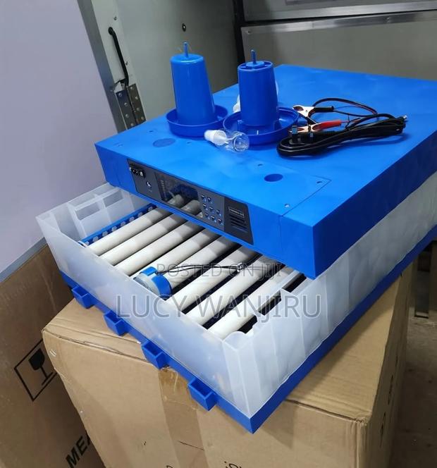 64 Eggs Incubator Machine Automatic/ Ac Dc Eggs Incubator