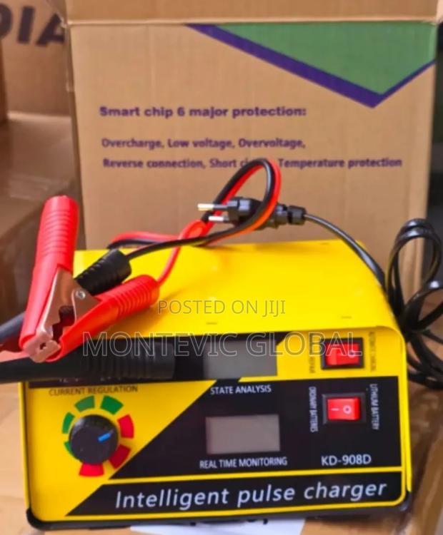 Intelligent Dc Battery Charger 12v/24v
