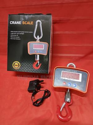 Crane Scale 500kg - main view