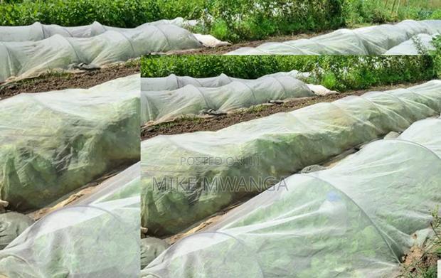 Protective Insect Net /2.5*50m