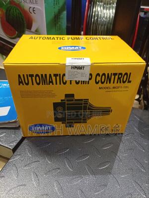 Automatic Pump Control/240v Automatic Pump Control - thumbnail 2