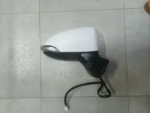 Fielder/Axio 161 Side Mirror