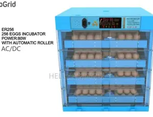 256eggs Incubator With Automatic Roller Ac/Dc