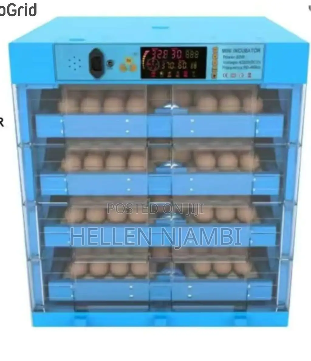Ac/Dc 256eggs Automatic Incubator
