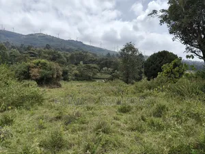 Half Acre Plot in Ngong Nalepo, Kahara Road With Scenic View