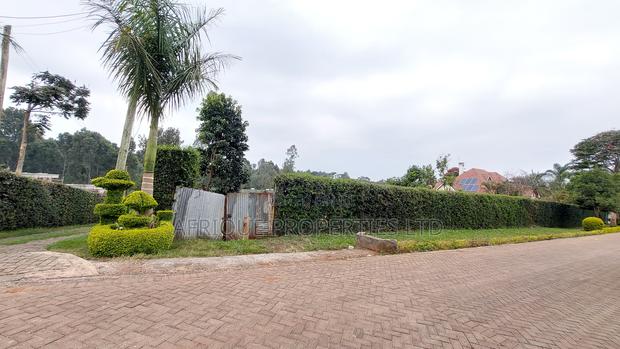 Kiambu Muthithi Garden Plot for Sale - thumbnail 4