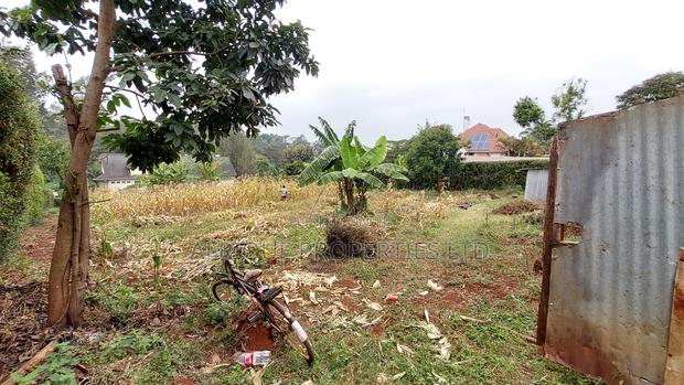 Kiambu Muthithi Garden Plot for Sale - thumbnail 2