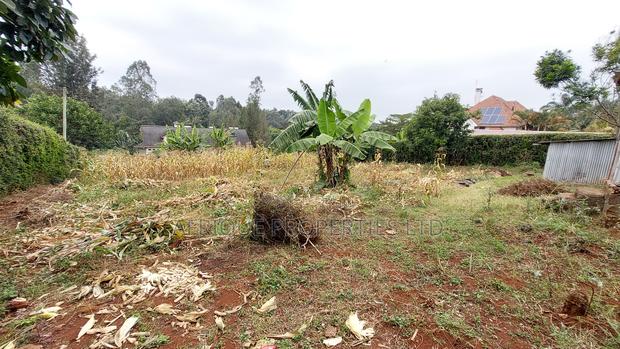 Kiambu Muthithi Garden Plot for Sale - main view