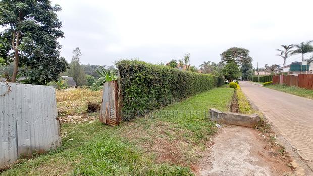 Kiambu Muthithi Garden Plot for Sale - thumbnail 6