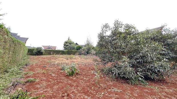 Ruiru Daykio Bustani Plot for Sale 1/4 - thumbnail 7