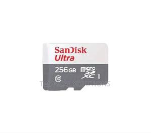 Sandisk Microsd Class 10 100mbps 256gb Without Adapter - thumbnail 2