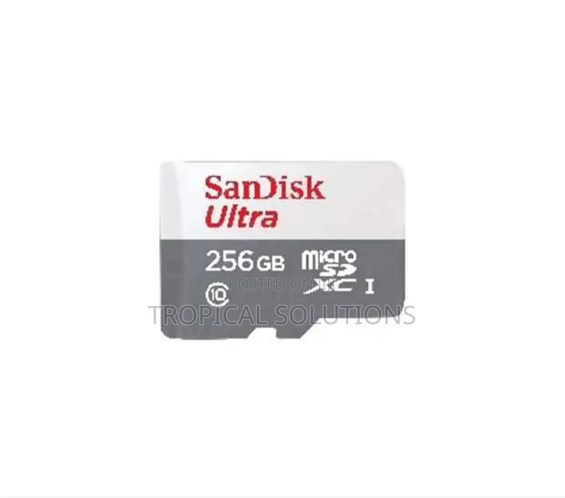 Sandisk Microsd Class 10 100mbps 256gb Without Adapter - main view