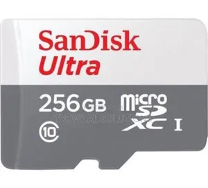 Sandisk Microsd Class 10 100mbps 256gb Without Adapter