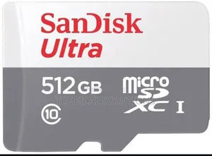 Sandisk Microsd Class 10 100mbps 512gb Without Adapter