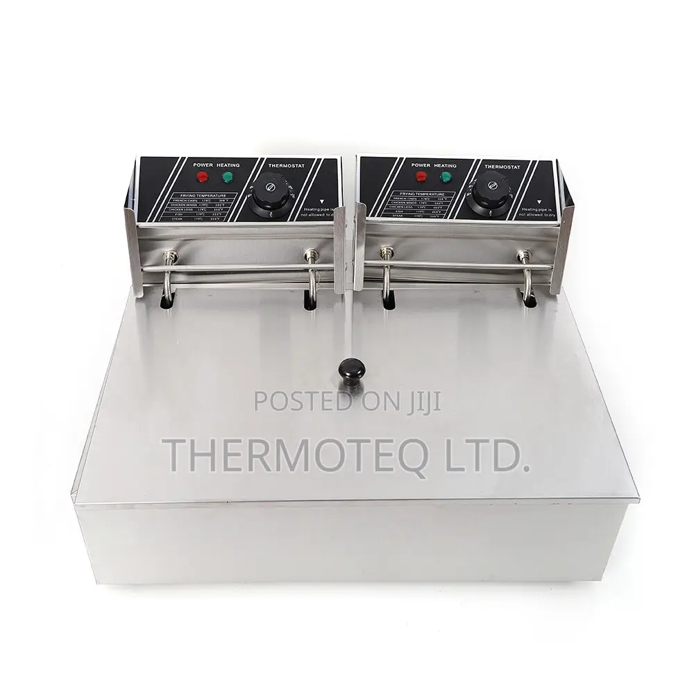 12l Electric Fryer