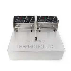 12l Electric Fryer