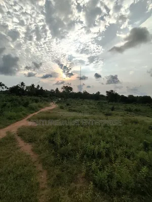Kilifi Tezo Kwa Chokwe
