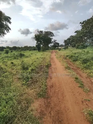 Kilifi Tezo Kwa Chokwe