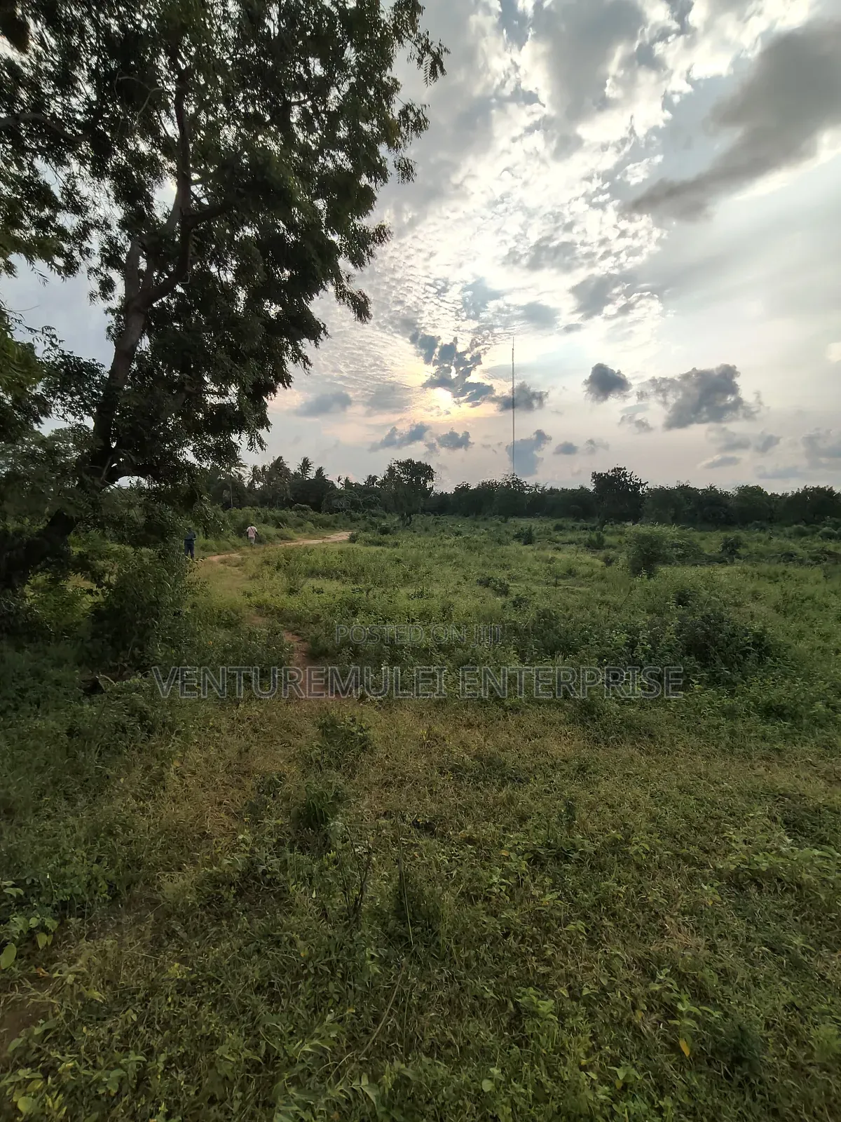 Kilifi Tezo Kwa Chokwe