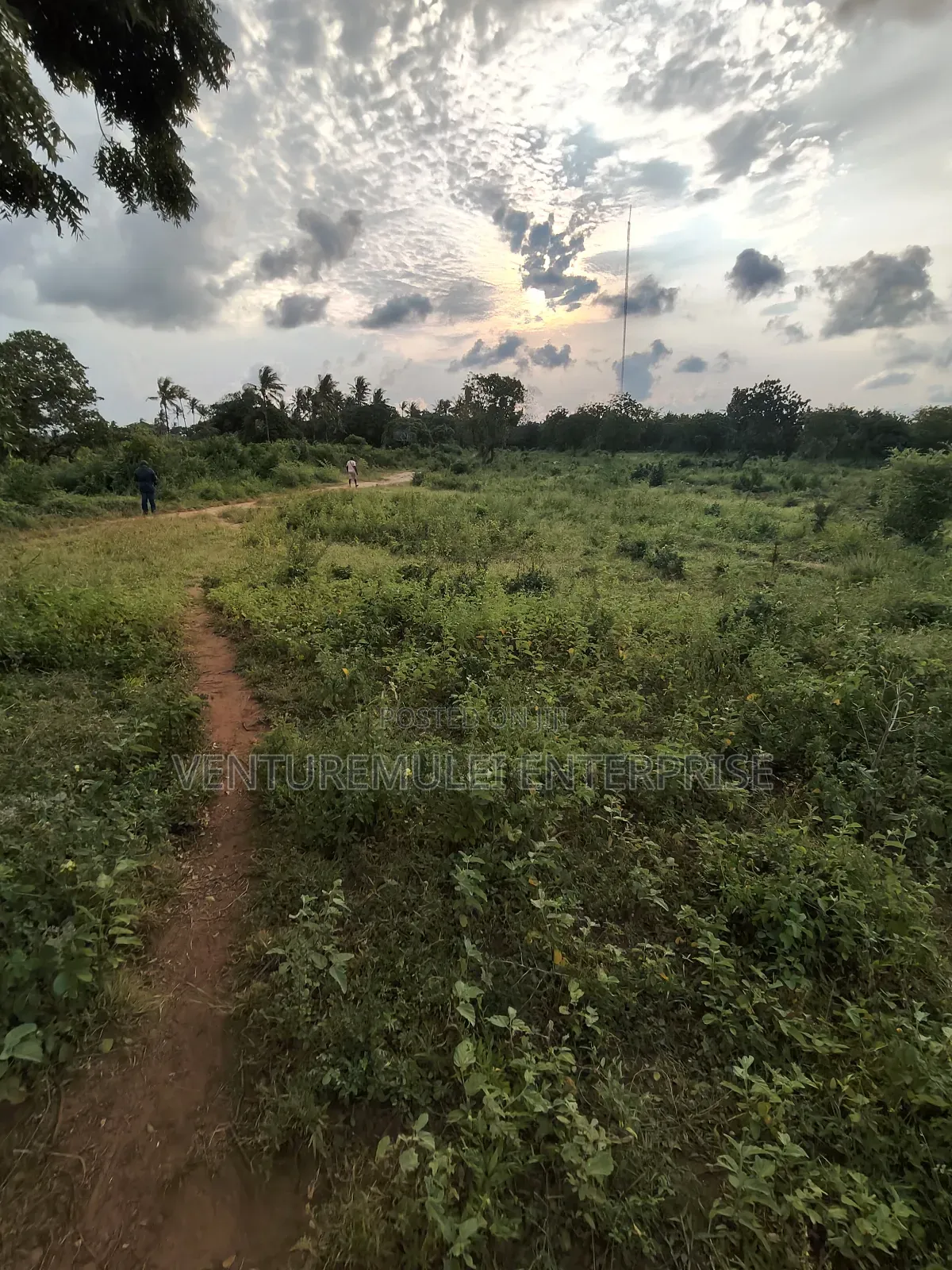Kilifi Tezo Kwa Chokwe