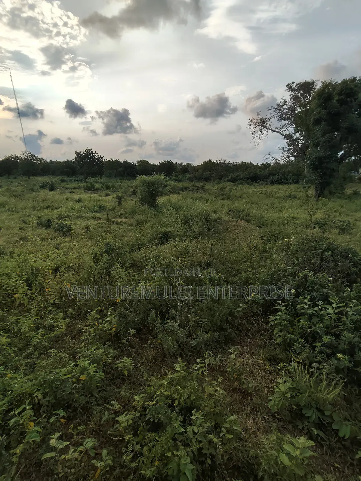 Kilifi Tezo Kwa Chokwe