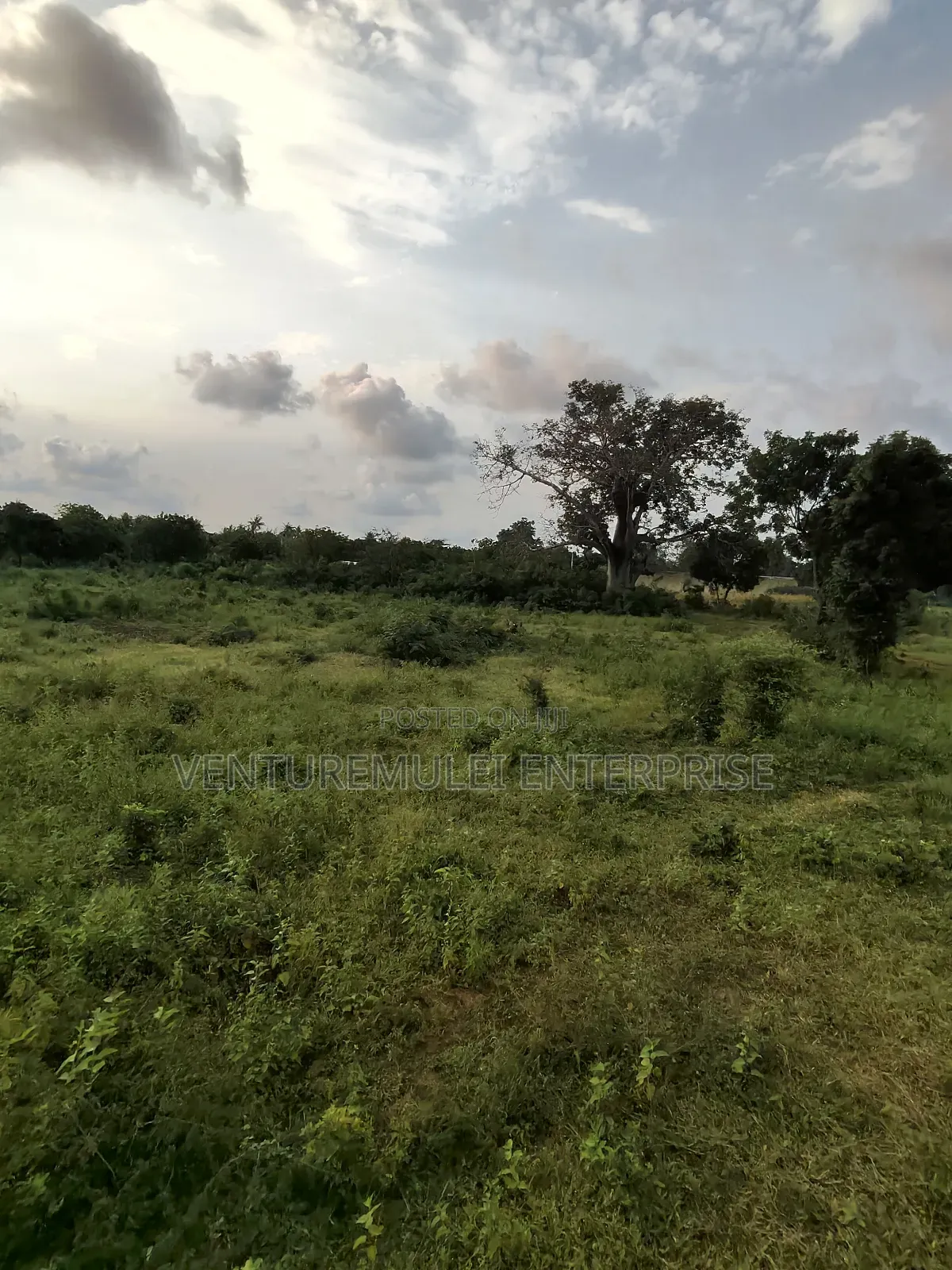 Kilifi Tezo Kwa Chokwe