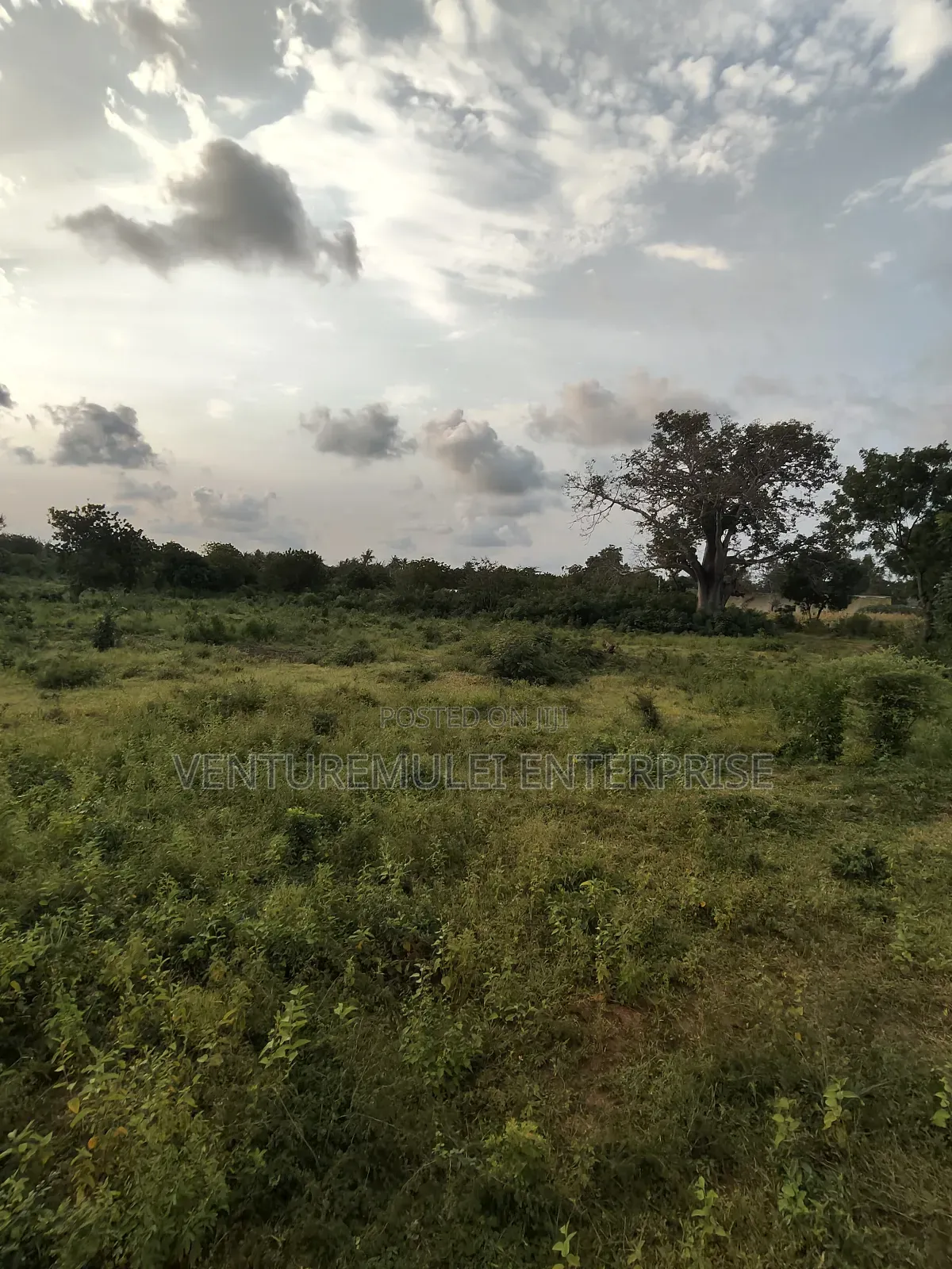 Kilifi Tezo Kwa Chokwe