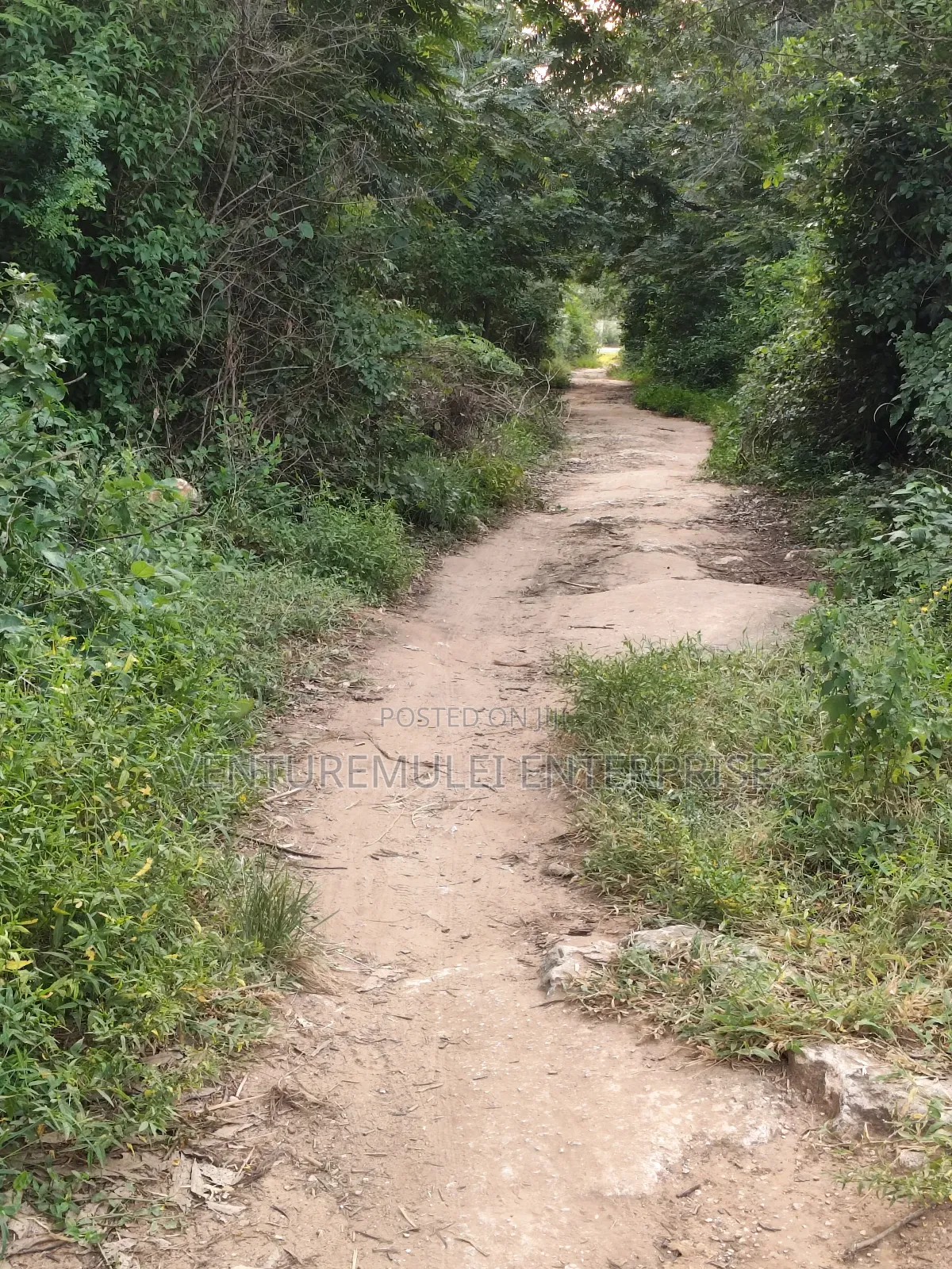 Kilifi Tezo Kwa Chokwe