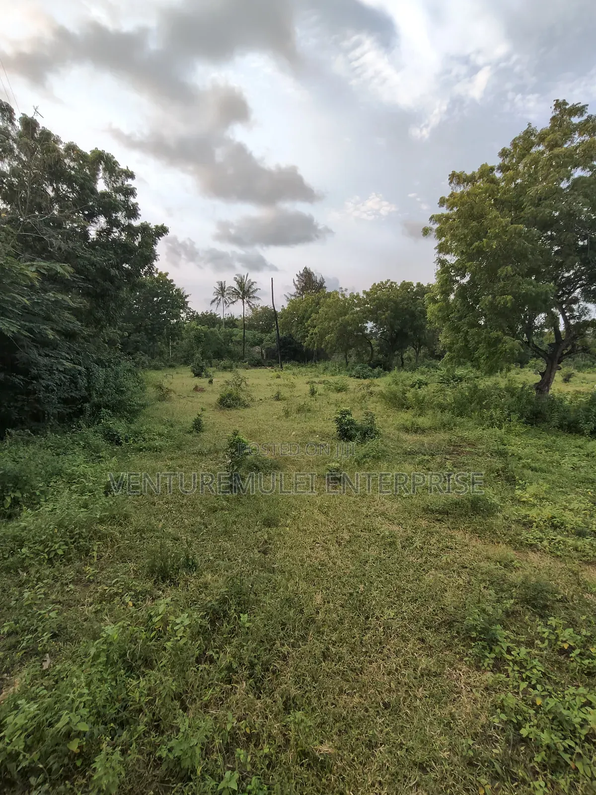 Kilifi Tezo Kwa Chokwe