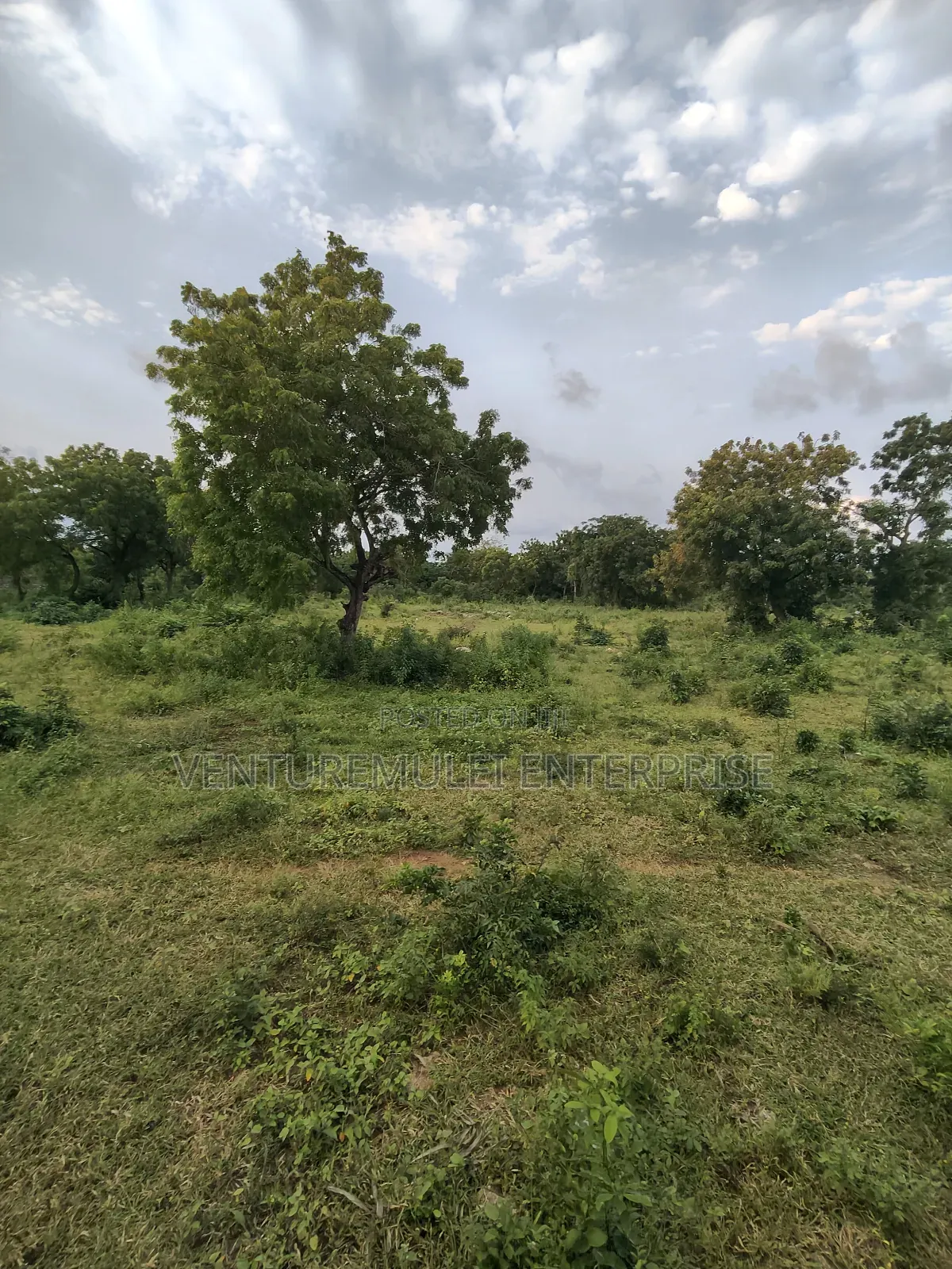 Kilifi Tezo Kwa Chokwe