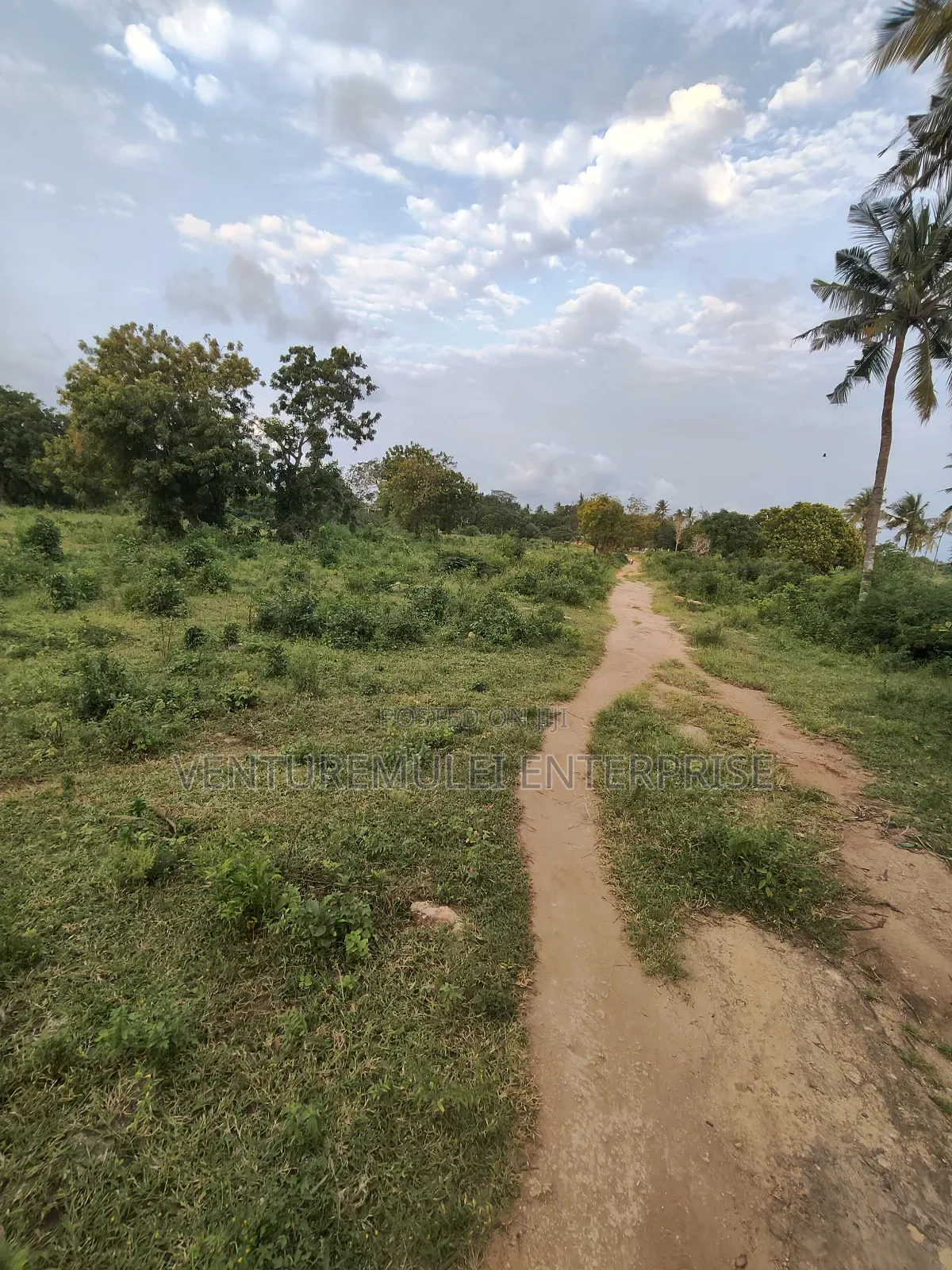 Kilifi Tezo Kwa Chokwe