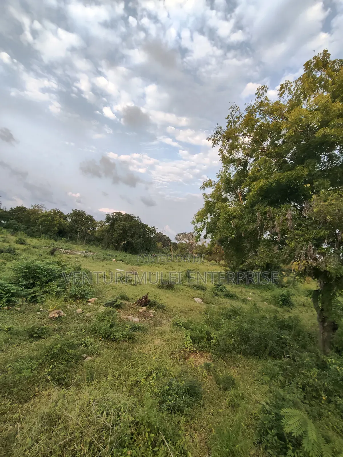 Kilifi Tezo Kwa Chokwe