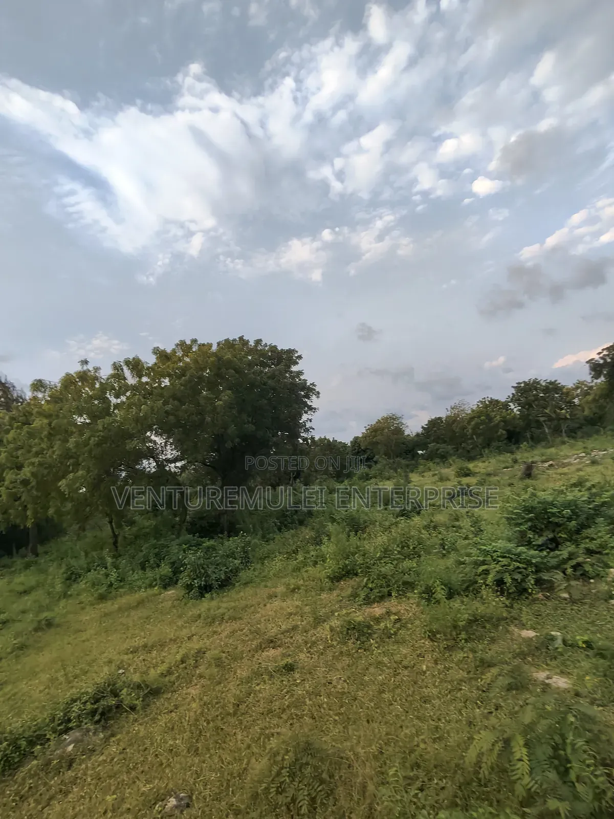 Kilifi Tezo Kwa Chokwe